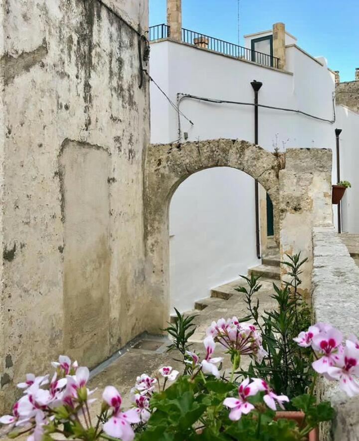 Casa Vacanze Elisir * Specchia