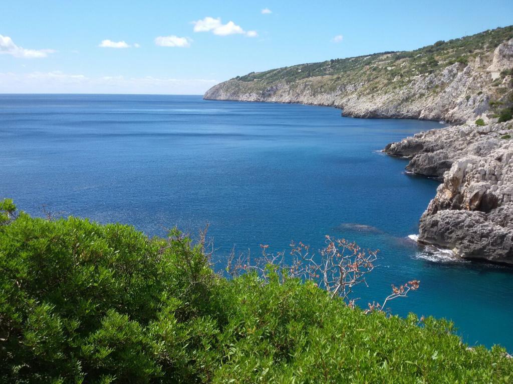 Casa Vacanze Elisir Holiday home Specchia