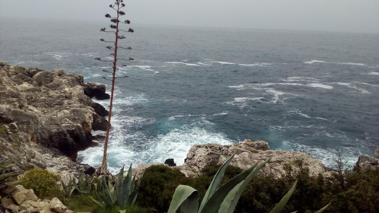 Casa Vacanze Elisir Specchia